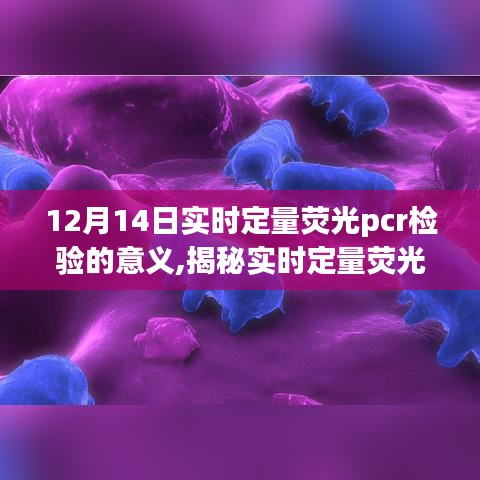 揭秘實時定量熒光PCR檢驗，在醫學診斷中的科學意義與重要性（12月14日）