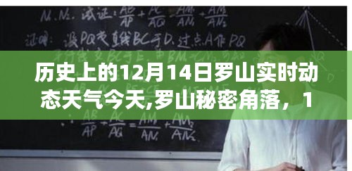 羅山秘密角落美食之旅，探尋12月14日獨特天氣下的驚喜美食與實時動態天氣體驗