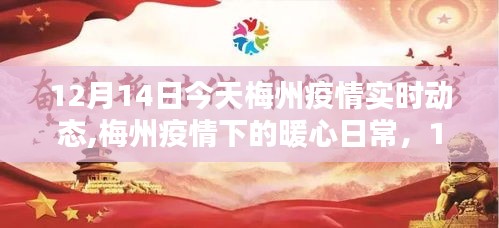 梅州疫情下的暖心日常，實時動態與溫馨時光