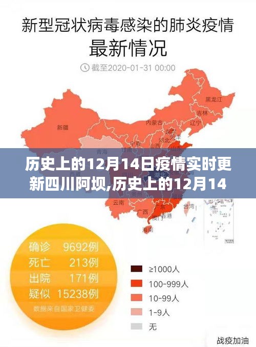 歷史上的12月14日四川阿壩疫情深度解析與實時更新