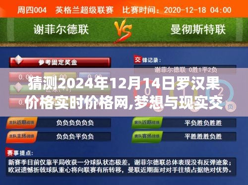 勵志之旅，預測羅漢果價格實時走勢，夢想與現實交匯于2024年12月14日羅漢果價格網