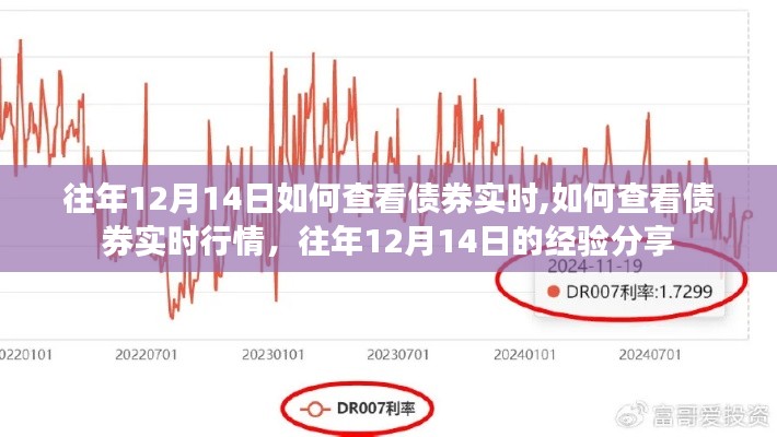 往年12月14日債券實時行情查看經驗分享，如何快速獲取債券實時行情數據？