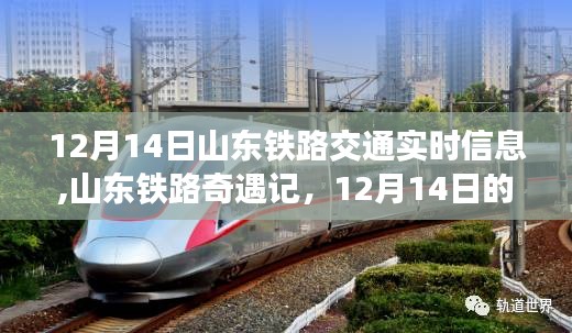 山東鐵路奇遇記，12月14日的溫馨旅程實時信息