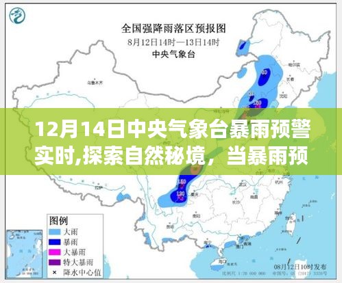 暴雨預警下的心靈之旅，探索自然秘境的奇妙旅程