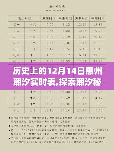 歷史上的12月14日惠州潮汐之旅，潮汐實時表與內心的寧靜探索