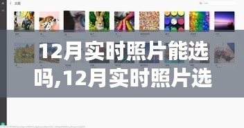 12月實時照片選擇指南，如何捕捉最佳瞬間并精選照片