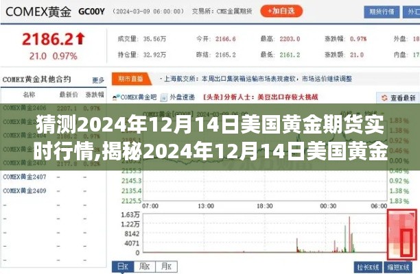 2024年12月14日美國黃金期貨行情預測與實時市場動態解析，洞悉市場動向揭秘未來走勢！