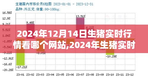 2024年生豬實(shí)時(shí)行情平臺(tái)深度評(píng)測(cè)，哪個(gè)網(wǎng)站最值得信賴？