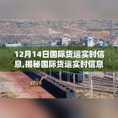 12月14日國際貨運實時解析，全球物流動態揭秘與洞悉之路