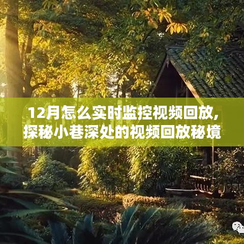 探秘小巷深處的視頻回放秘境，揭秘十二月實時監控新體驗