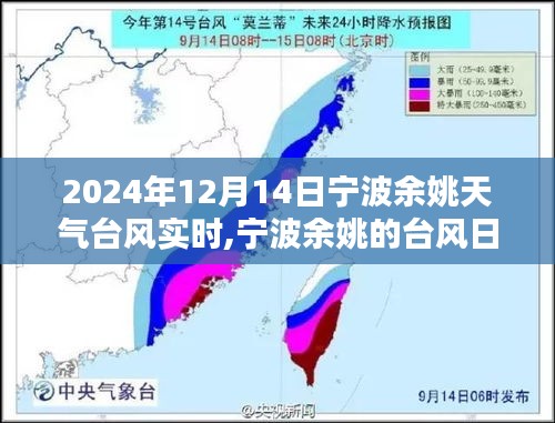 寧波余姚臺風日，愛與陪伴的力量及實時天氣更新