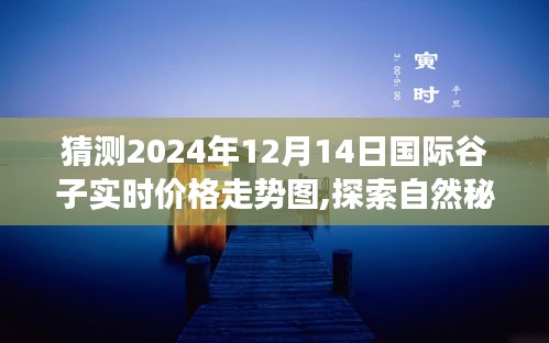 探索自然秘境，預見谷子未來，心靈之旅與谷價走勢圖展望（2024年12月）