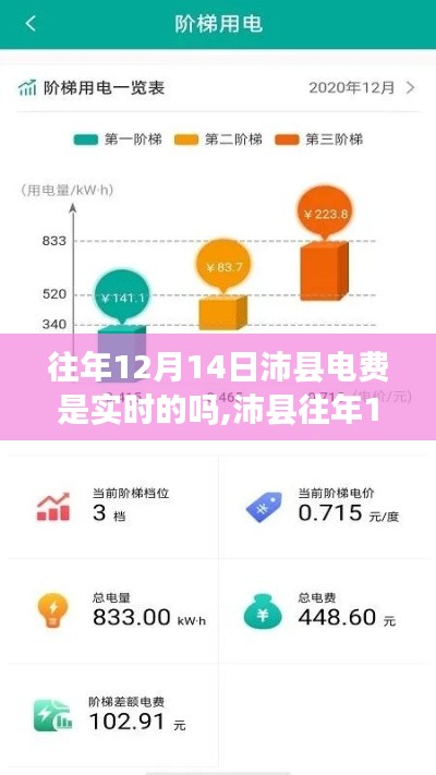 沛縣往年12月14日電費實時性深度解析，特性、體驗與競品對比