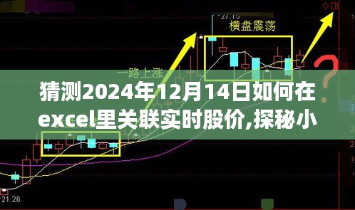 探秘Excel實時股價鏈接指南，如何關聯股市數據寶藏，2024年股市數據實時更新教程