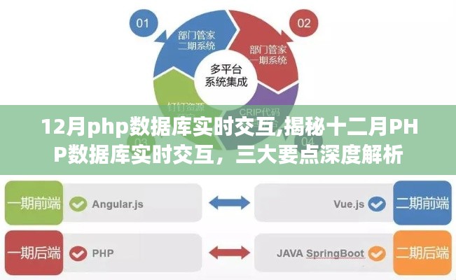 揭秘十二月PHP數(shù)據(jù)庫實時交互深度解析，三大要點一網(wǎng)打盡