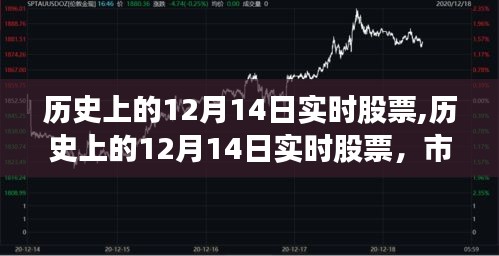 歷史上的12月14日實時股票解析，市場風云三大看點揭秘