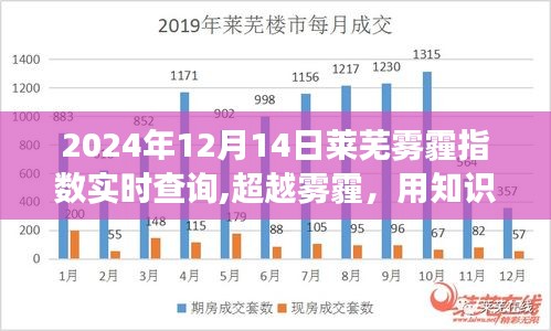 建議，超越霧霾，知識照亮未來——萊蕪霧霾中的勵志故事（實時霧霾指數查詢）