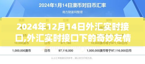 外匯實時接口下的友情故事，溫馨時光在2024年12月14日