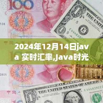 Java時光里的匯率背后的故事，實時匯率轉換與溫馨故事，2024年12月14日。