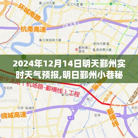 明日鄞州小巷秘境，天氣預(yù)報(bào)與美食的雙重驚喜（2024年12月14日）