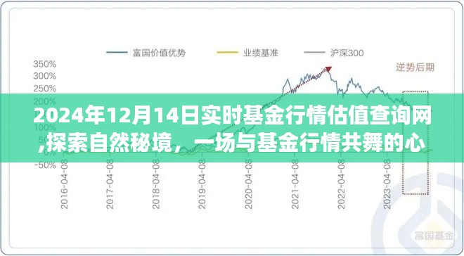 探索自然秘境的心靈之旅，實時基金行情估值查詢網，2024年12月14日