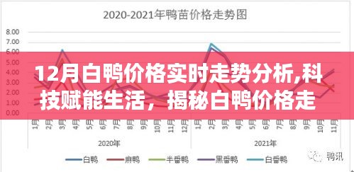 科技賦能生活，揭秘白鴨價(jià)格走勢(shì)背后的智能分析系統(tǒng)——最新白鴨價(jià)格實(shí)時(shí)走勢(shì)分析體驗(yàn)報(bào)告