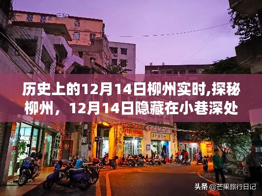 探秘柳州小巷深處的獨特風味之旅，歷史上的12月14日實時記錄