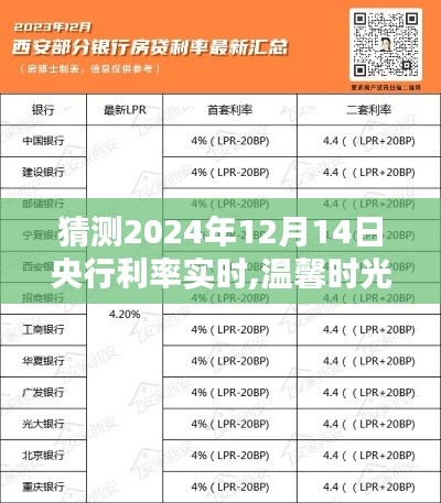 溫馨時光與家的溫暖，央行利率猜猜樂，探索2024年12月14日利率實時動態