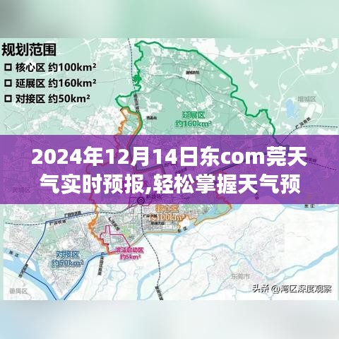 2024年12月14日東莞天氣預(yù)報，如何獲取并解讀實(shí)時天氣信息