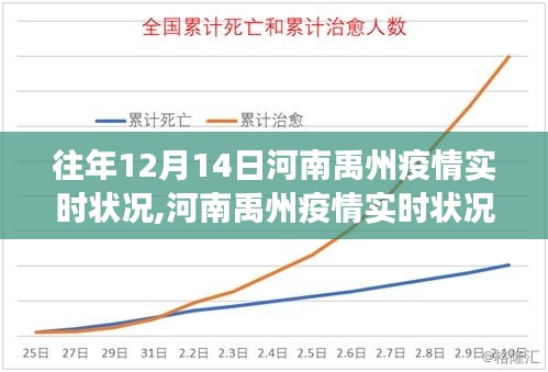 河南禹州疫情實時狀況聚焦分析，歷年12月14日疫情態(tài)勢探討與論述