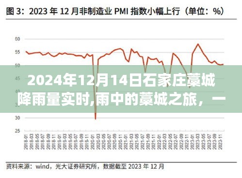 雨中探秘藁城，自然靜謐之旅（2024年12月14日石家莊藁城降雨量實時報道）