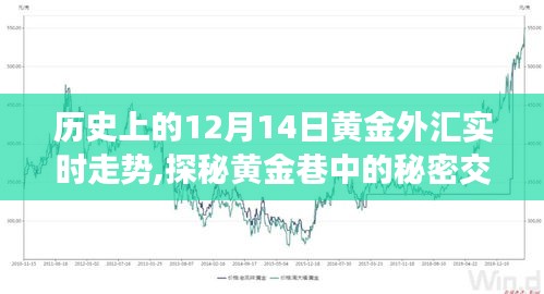 探秘黃金巷，歷史上的黃金外匯走勢與特色小店獨特魅力揭秘的實時走勢分析