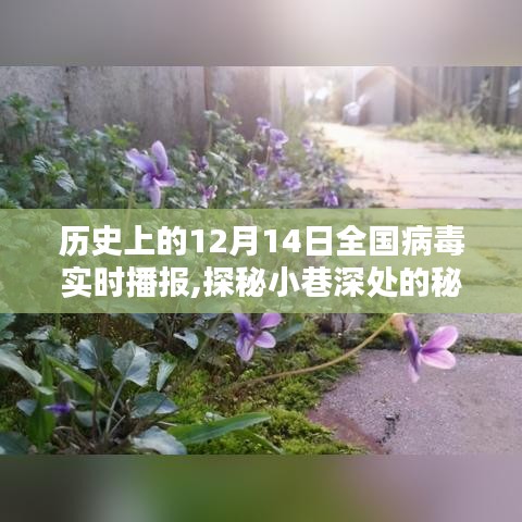 探秘歷史十二月十四日全國病毒播報與獨特小店的奇緣日