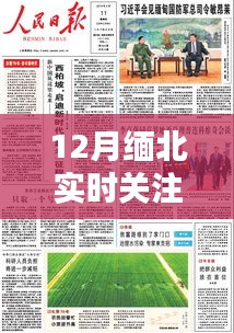 12月緬北輿論熱點深度解析與實時關(guān)注新聞報道