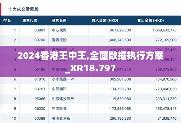 2024香港王中王,全面數(shù)據(jù)執(zhí)行方案_XR18.797