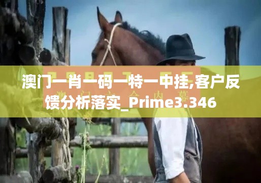 澳門一肖一碼一特一中掛,客戶反饋分析落實_Prime3.346