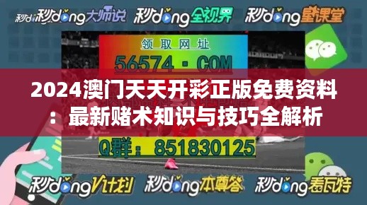 2024澳門天天開彩正版免費資料：最新賭術知識與技巧全解析