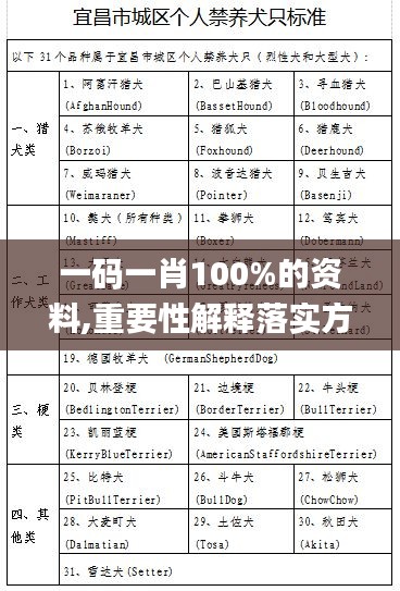 一碼一肖100%的資料,重要性解釋落實方法_豪華版5.398