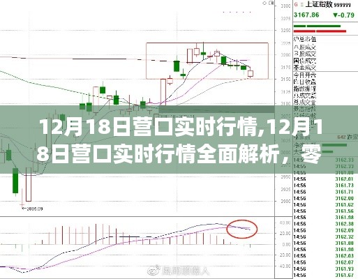 12月18日營口實時行情全面解析及交易策略入門指南