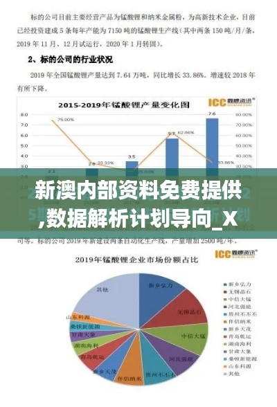 新澳內部資料免費提供,數據解析計劃導向_XE版5.208