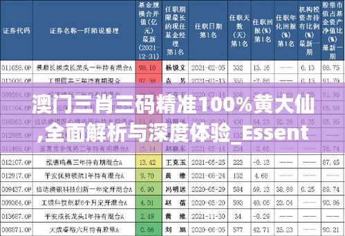 澳門三肖三碼精準100%黃大仙,全面解析與深度體驗_Essential7.969