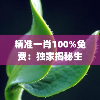 精準一肖100%免費：獨家揭秘生肖運勢與財富增長秘籍