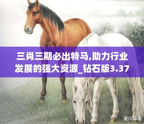 三肖三期必出特馬,助力行業(yè)發(fā)展的強大資源_鉆石版3.371