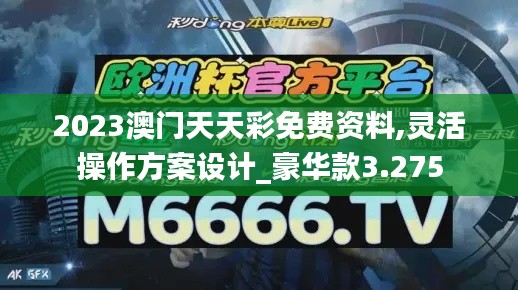 2023澳門天天彩免費資料,靈活操作方案設(shè)計_豪華款3.275