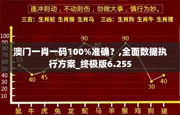 澳門一肖一碼100%準確？,全面數據執行方案_終極版6.255