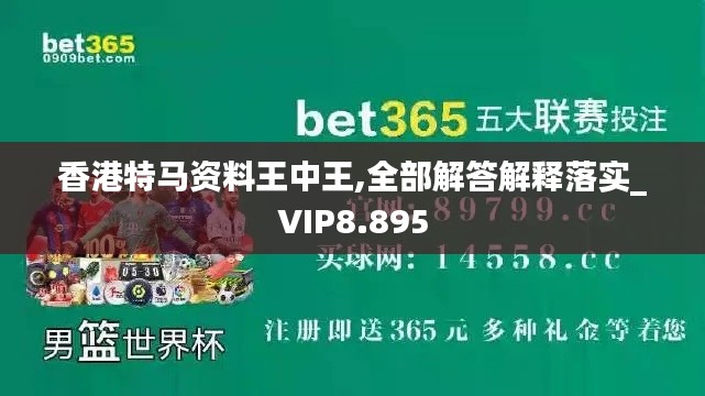 香港特馬資料王中王,全部解答解釋落實_VIP8.895