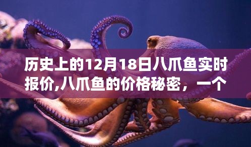 揭秘八爪魚價格秘密，溫馨十二月十八日故事與實時報價