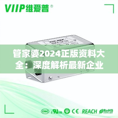 管家婆2024正版資料大全：深度解析最新企業管理軟件功能與應用指南