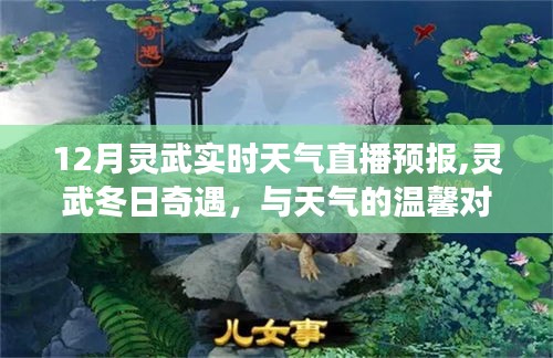 靈武冬日奇遇，實時天氣直播與朋友的深厚情誼體驗