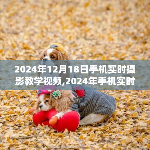 掌握攝影技巧，手機實時攝影教學視頻，記錄生活之美（2024年最新版）